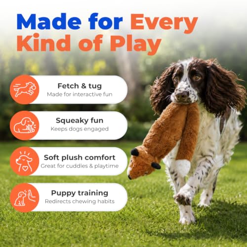 2-in-1 Stuffless Squeaky Dog Toy - Fox, Medium (Brown/Fox / Medium)
