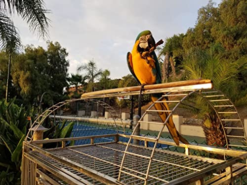 304 Stainless Steel XL Extra Large Bird Parrot Macaw Indoor Outdoor Cage Play Top Medical Grade Stainless SUS304