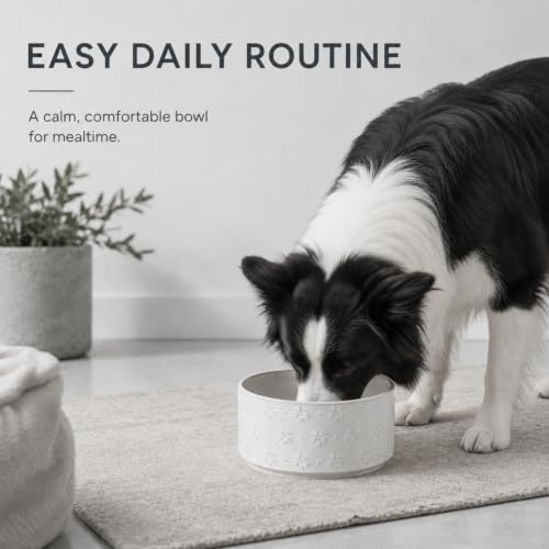 Dog Bowls Ceramic (1 Bowl-Arctic White / 5CUPS)