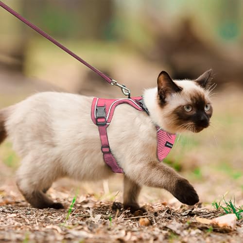 Cat Harness Cat Harness and Leash Set (Pink / Medium)