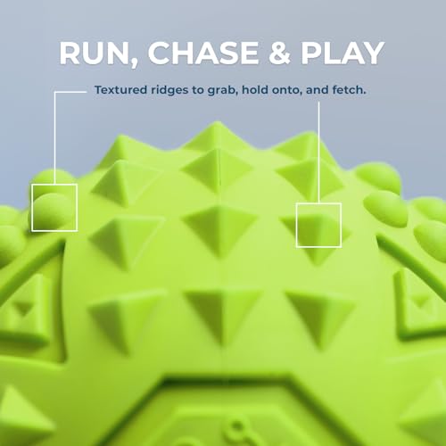 Squeaky Dog Toys with Soft Durable Fabric for Small (Green / Large)