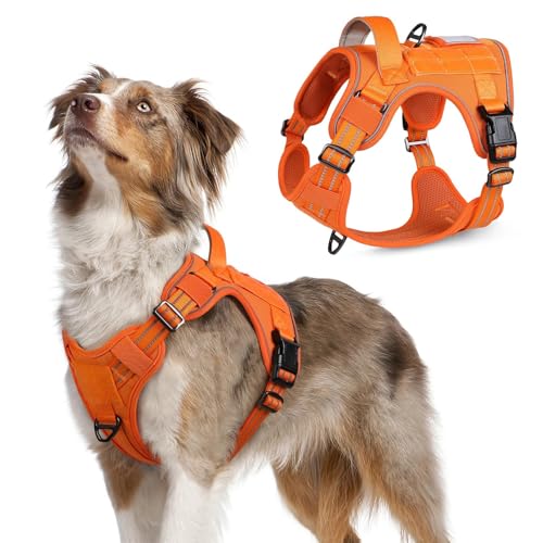 Tactical Dog Harness for Medium (Orange / Medium)