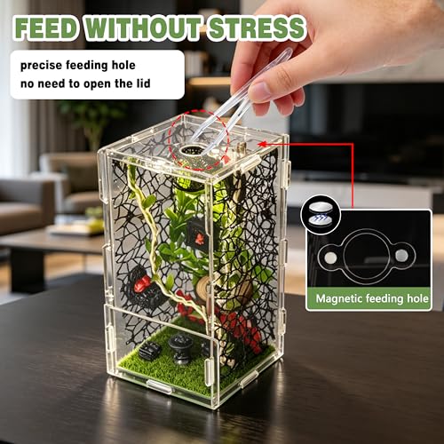 Jumping Spider Enclosure Kit 22pcs Terrarium with Decor (Green-Gothic)