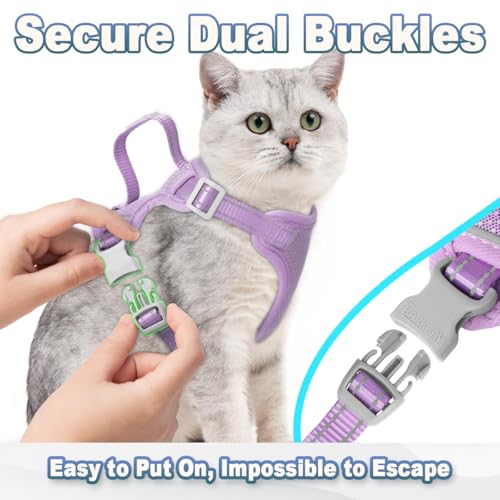Cat Harness and Leash Set Escape Proof for Kitten Walking (XX-Small / Violet Purple)