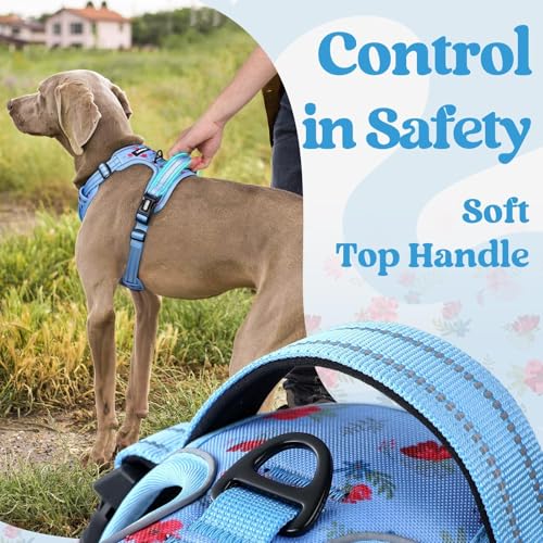 Dog Harness Small Sized (Floral Blue / Small)