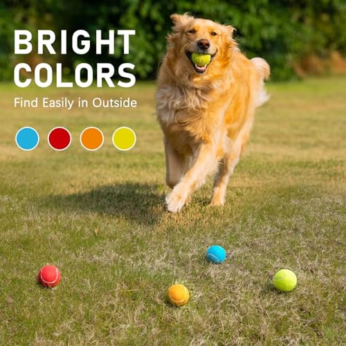 Durable Dog Tennis Balls 3 Pack (2.5" Non-Squeaky / 3 Pack, Blue)