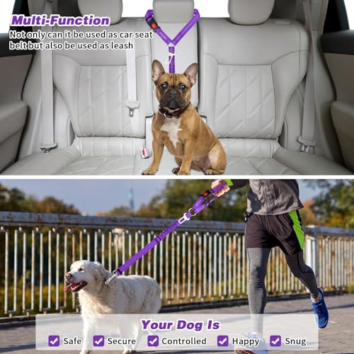 Dog Seat Belt for Car (Purple)