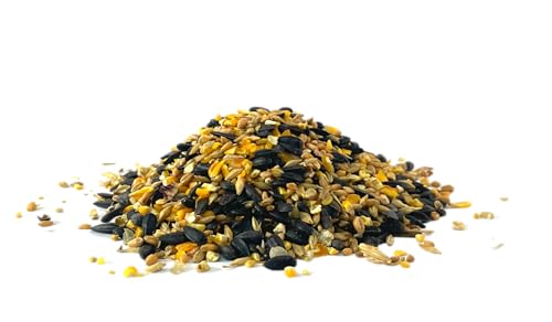 Bird and Wildlife Feed (10 Pound (Pack of 1))