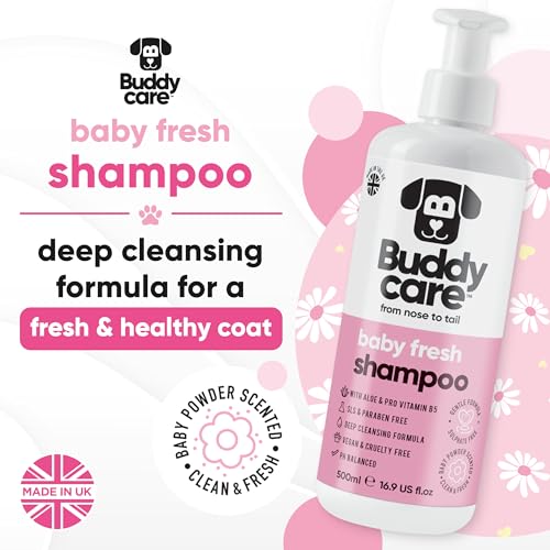 Baby Fresh Dog Shampoo by Buddycare (50.72oz)