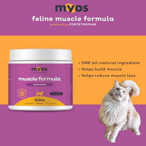 Cat Nutritional Supplement