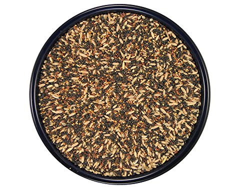 Song Bird Treat for Finches and Canaries (20 Pound (Pack of 1))
