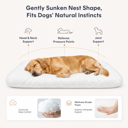 Super Soft Large Dog Bed (39.0"L x 33.5"W x 4.0"Th / Burgundy)