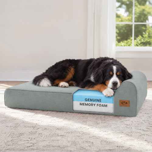 XXL 35D Memory Foam Dog Bed for Extra Large Dogs (XX-Large / Light Blue)