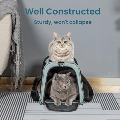 Soft Sided Cat Carrier (18.0"L x 11.0"W x 11.0"H / Z-Cyan blue)