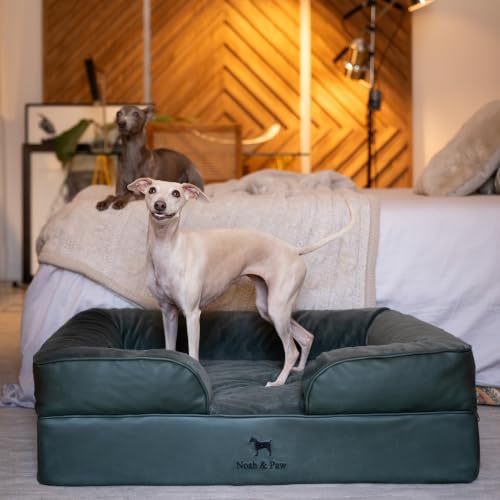 Dog Bed Orthopedic Memory Cooling Foam (Green - LE / Large)