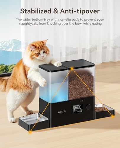 Automatic Cat Feeder and Water Dispenser (Black / 8.5L-Standard)