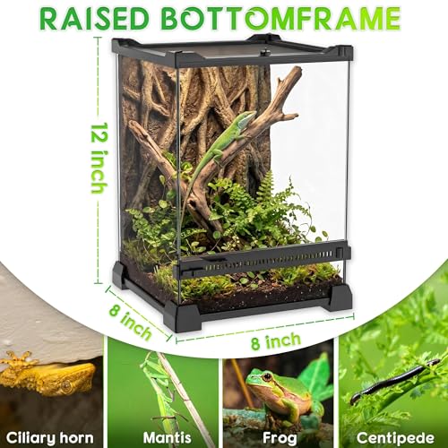 8"x8"x12" Reptile Terrarium