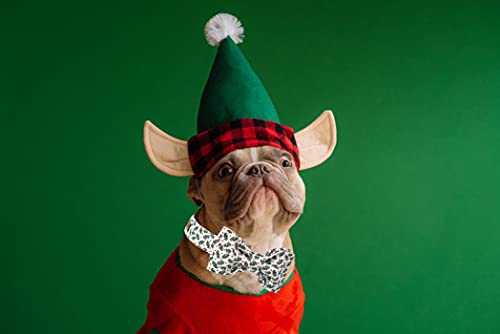 Christmas Dog Collar (Christmas Green / Small (Pack of 1))