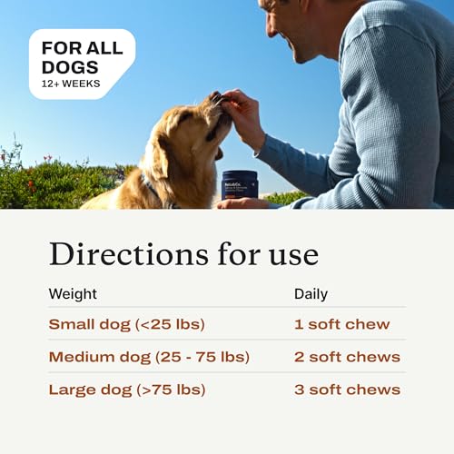 Allergy & Immune Probiotic Chews (Single Pack)