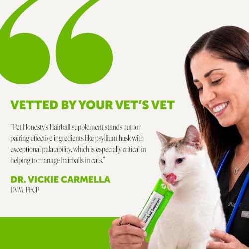 Vet Backed Hairball Remedy Lickable Puree (40-Day Supply)