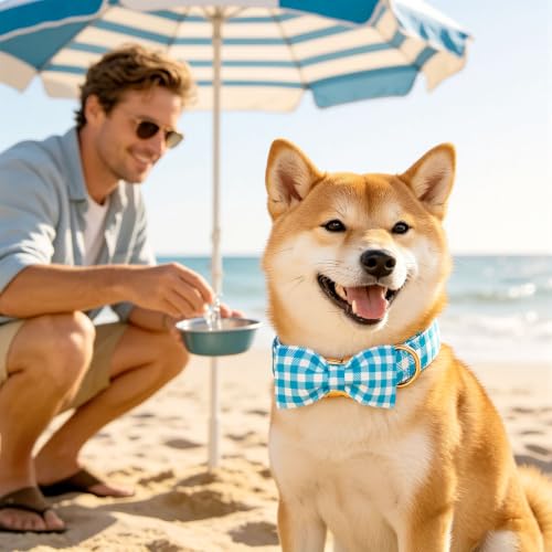 Dog Collar Boy Blue Gingham Plaid Dog Collar with Bow (Blue Gingham Plaid / Small (Pack of 1))