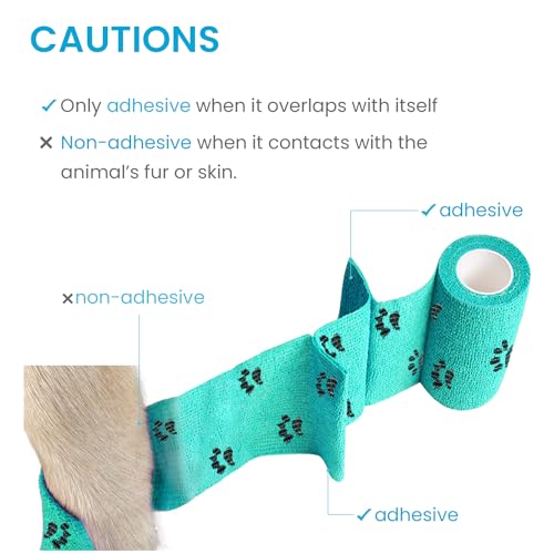 Pet Wrap Self (2 Inch (Pack of 6) / Pawprints A, 2 of Each Color)