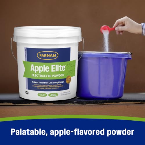 Apple Elite Horse Electrolytes Powder Supplement (20 pounds)
