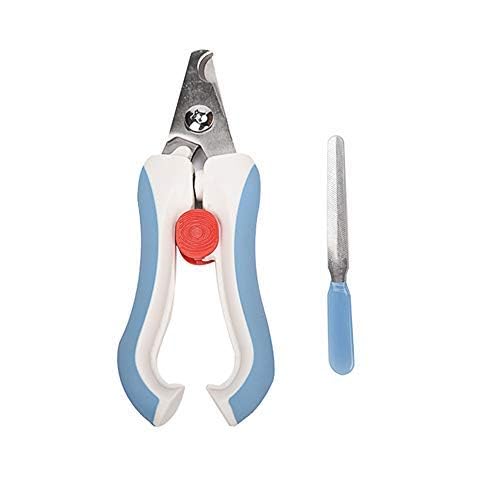 Bird Nail Clippers with Grinding Nail Scissors Tool Pet Parrot Claw Care (L / Blue)