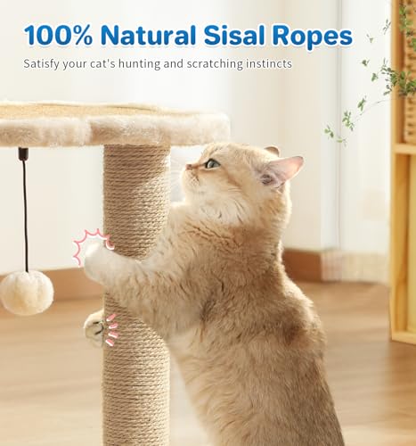 Made4Pets Kitten Toy Scratching Post with Self Groomer for Indoor Cats (17.5"H)