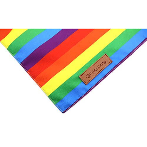 Pride Dog Bandanas 2 Pack (Pride Day / Large)