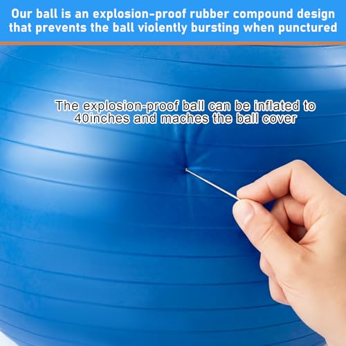 Giant 40 Inch Herding Balls with Ball Cover (Blue,Orange / 40 Inch / Cute)