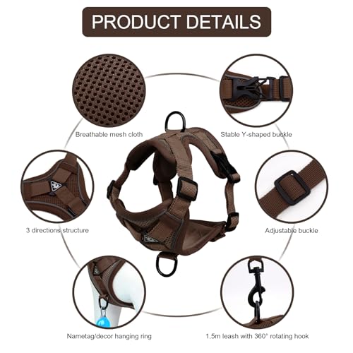 Cat Harness and Leash Set
