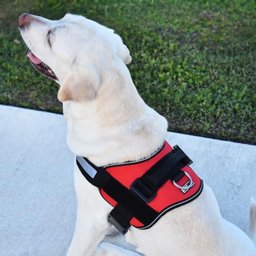 Dog Harness Reflective No (Red / Girth 22" to 28")