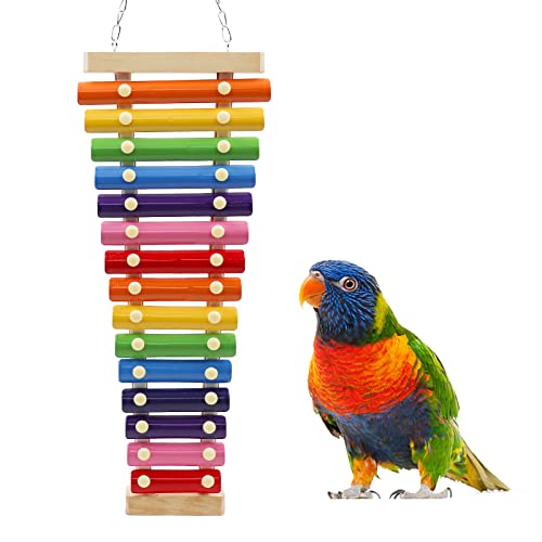 Large Colorful Bird Xylophone Toy