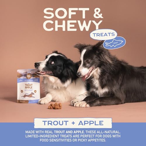 Healthy Soft Dog Treats (5 Ounce (Pack of 1))