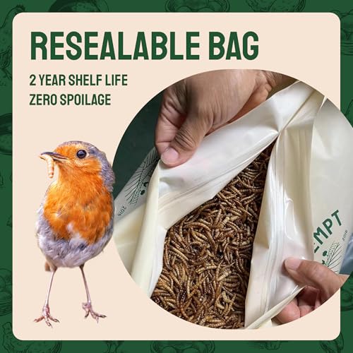 2lb Dried Mealworms for Wild Birds & Chickens (2 Pound (Pack of 1))