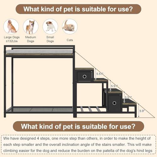 Pet Bunk Bed with Removable Stairs and 2 Drawers (Grey)