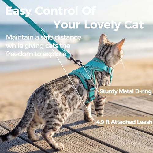 Cat Harness and Leash Set (Turquoise / Medium)
