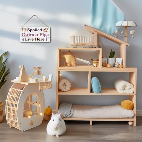 Big Hamster Ball & Guinea Pig Hideout (007)