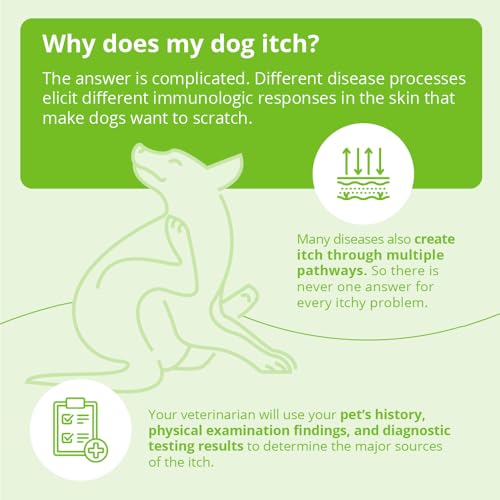 Shampoo for Dogs (12 oz)