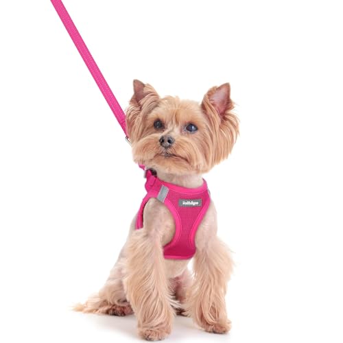 Dog Harness Small Sized and Leash Set (Rose Red / Xxs (chest: 12.4 - 14.2"))