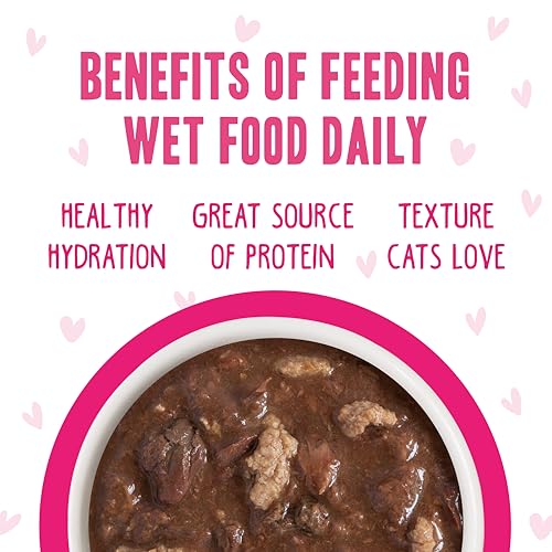 B.F.F. OMG Best Feline Friend Oh My Gravy! (2.8 Ounce (Pack of 12))