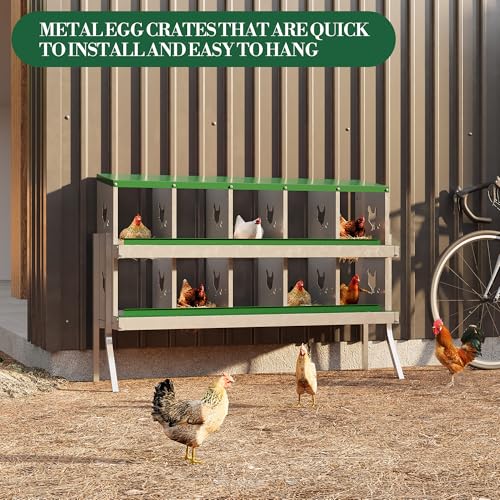 10 Hole Chicken Nesting Box with Roll Out Egg Tray