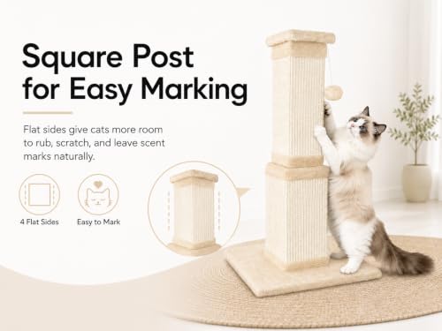 Cat Scratching Post for Indoor Cats (Beige)