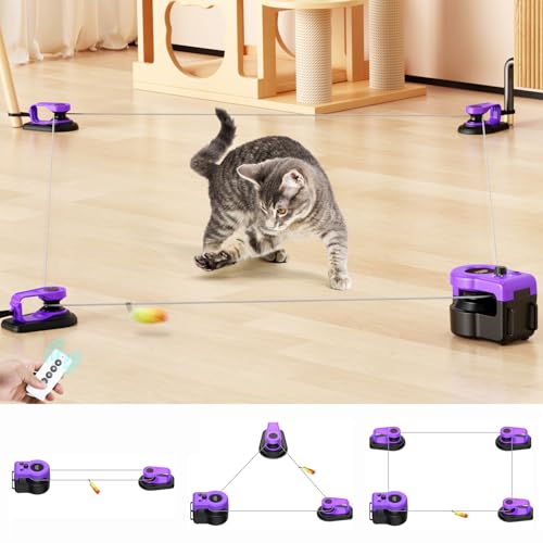 Interactive Cat Toy for Indoor Cats Chase (Elegant Purple)