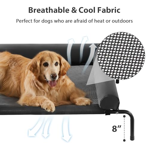 Large Elevated Cooling Cot (Black / 54.0"L x 34.0"W x 8.0"Th)