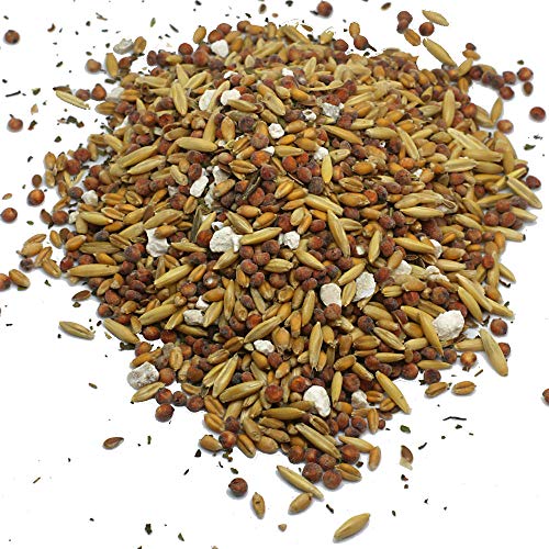 Premium Scratch Feed Treat (10 Pound (Pack of 1))
