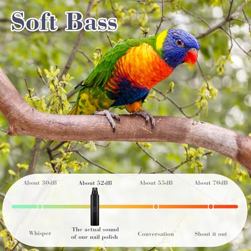 2 Pcs Bird Nail Grinder with Clipper Bird Nail Trimmer File Pet Grooming Tool for Parrot Budgerigars Parakeets Myna Conure Finches Lovebirds (Black)