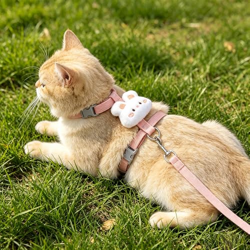 Cat Harness and Leash Set (B / Middle)
