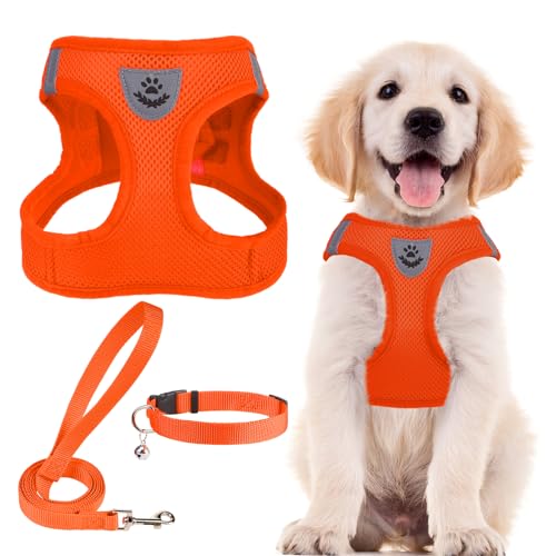 Dog Harness Collar and Leash Set No Pull for Small Medium Sized (Solid Orange / M (CHEST 16"-18"))